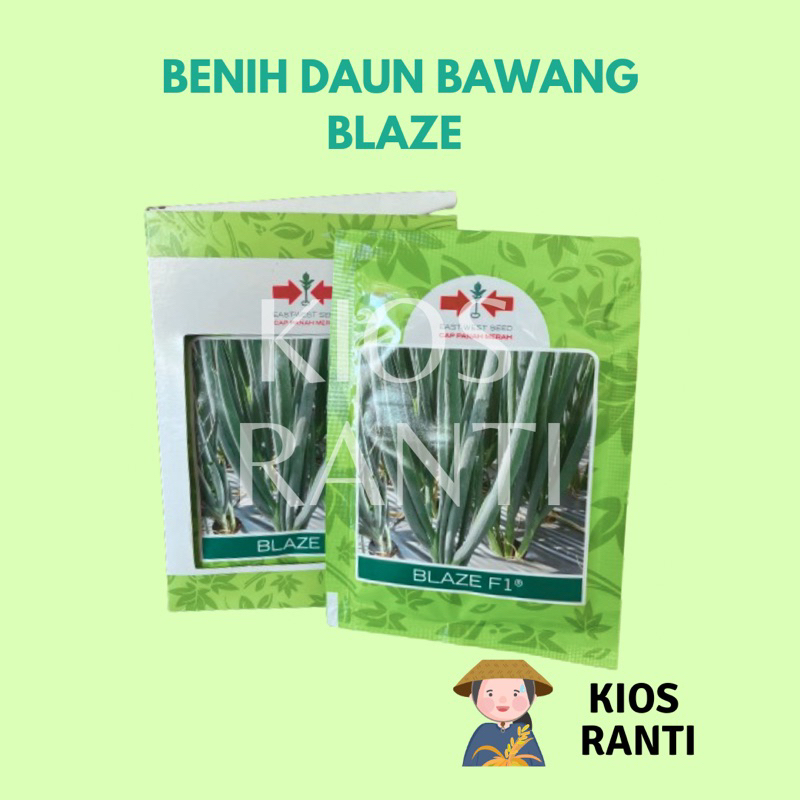 Benih Daun Bawang Blaze F1 10gr - Cap Panah Merah
