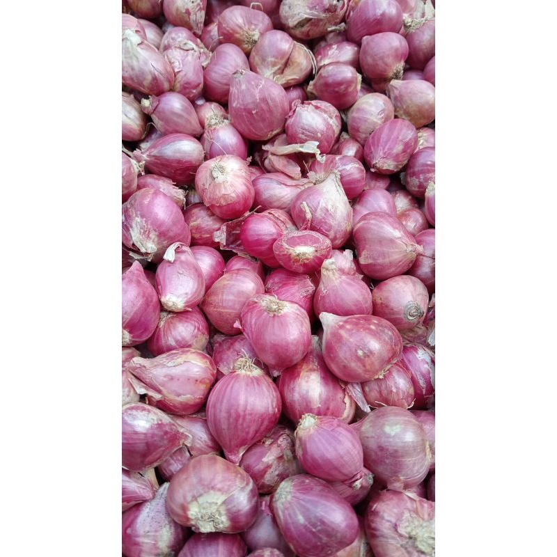 

Bawang merah 1kg