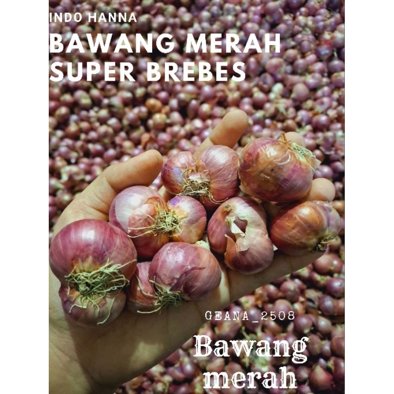 

BawangMerahSuperAsliBrebes