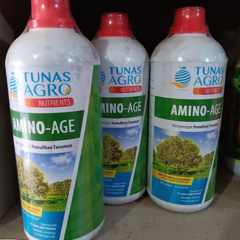 AMINO-AGE tunas agro
