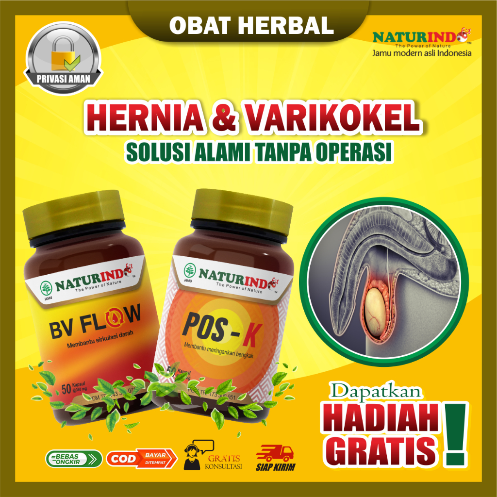 Obat Hernia Varikokel Herbal Hernia Turun Berok Varikokel Buah Zakar Bengkak POS-K BV FLOW Naturindo