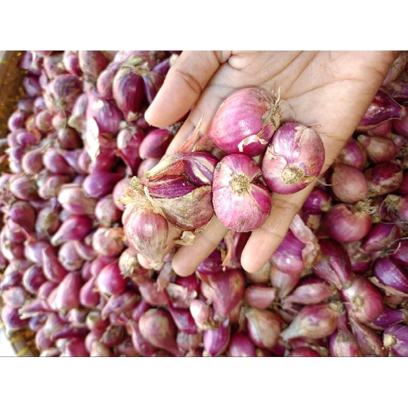 

bawang merah murah ukr 1kg (packing aman)