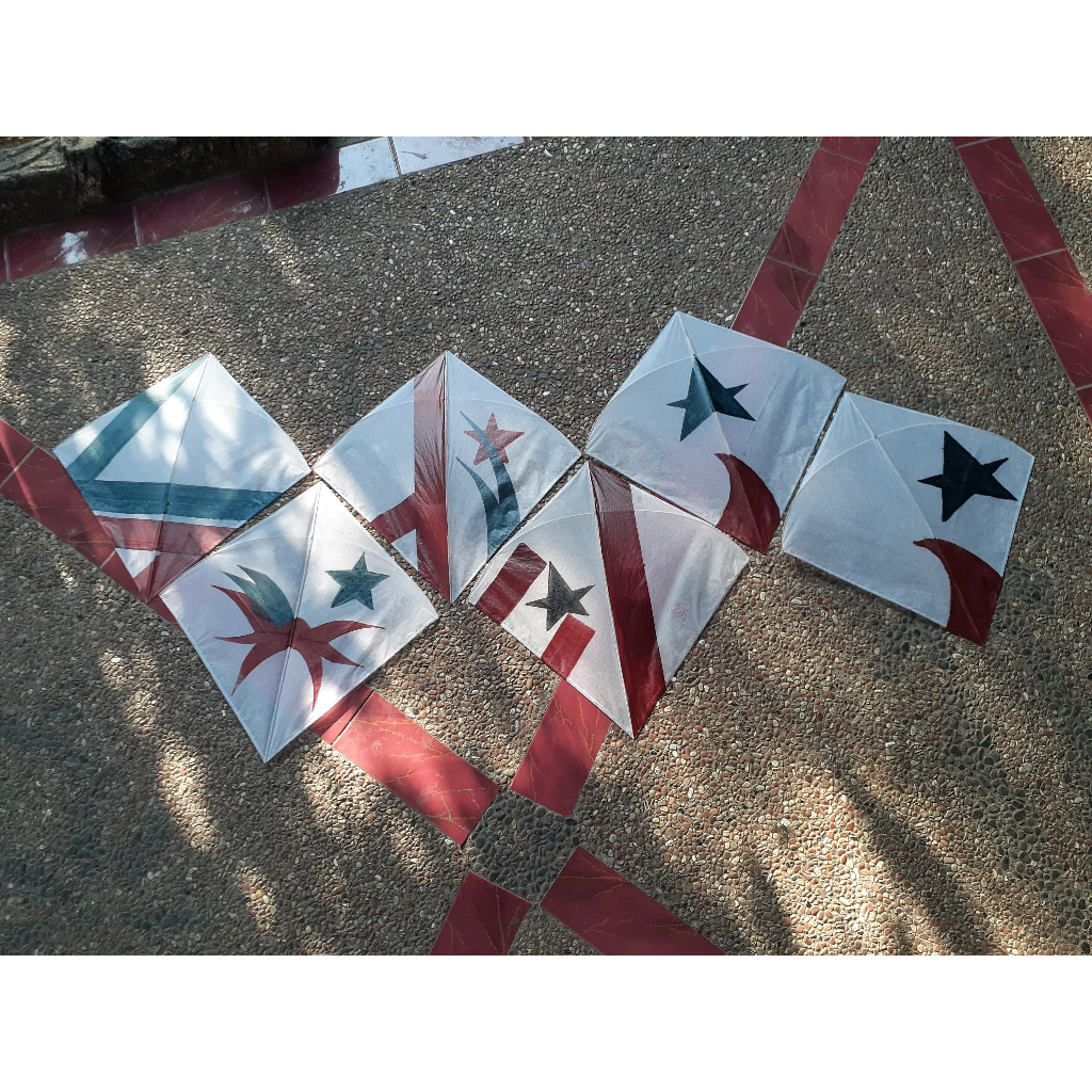 Layangan Seot Super Pulas Motif Bintang Serangga Ukuran 54