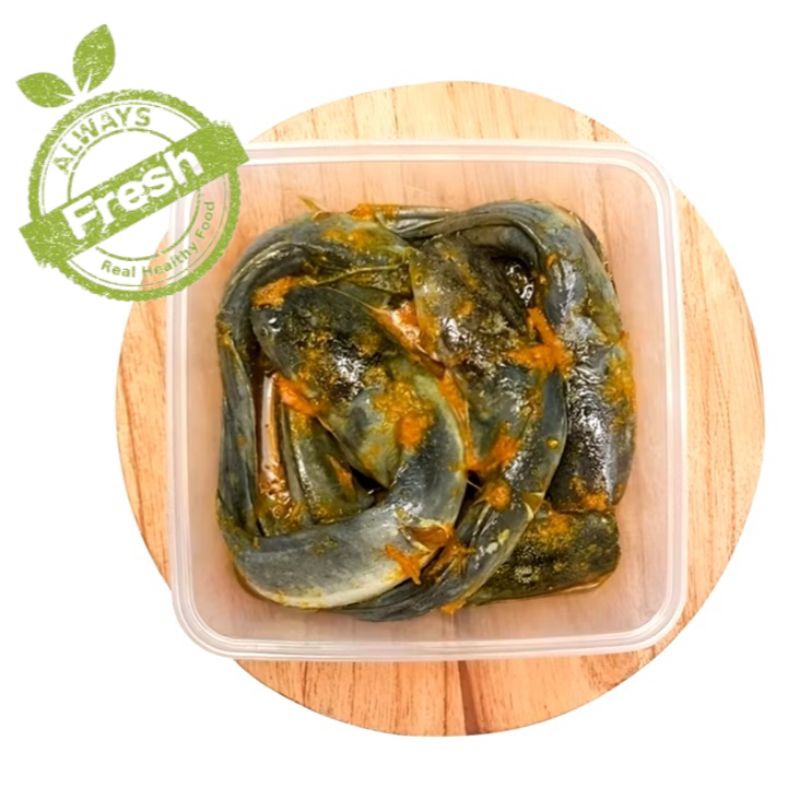 

Marinasi Ikan Lele Non Msg