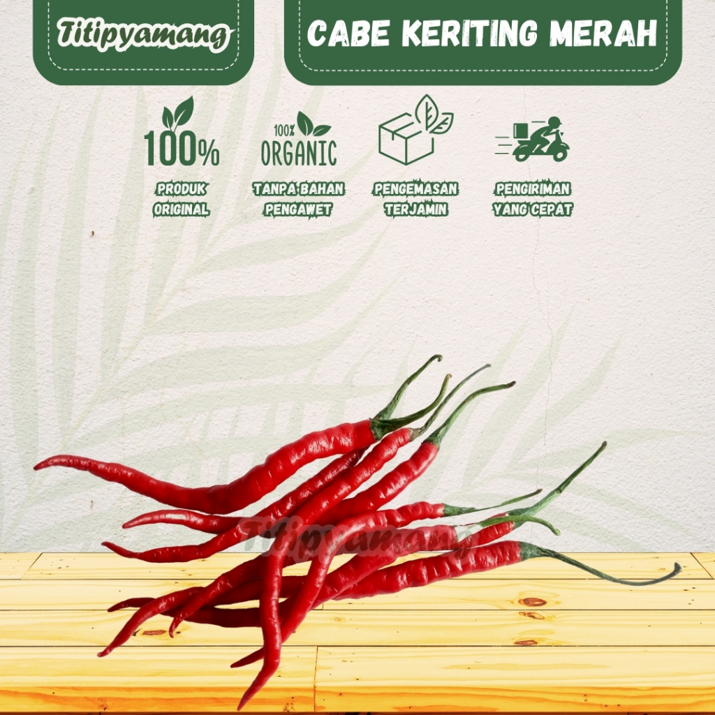 

Cabe keriting merah segar | Cabe keriting merah petik