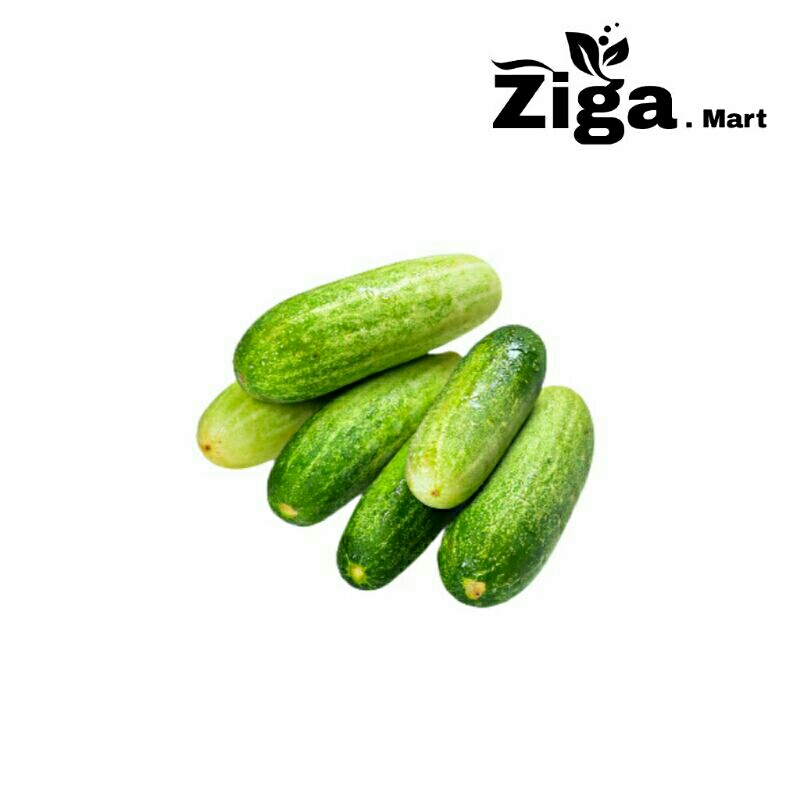 

Timun Mentimun Segar Fresh