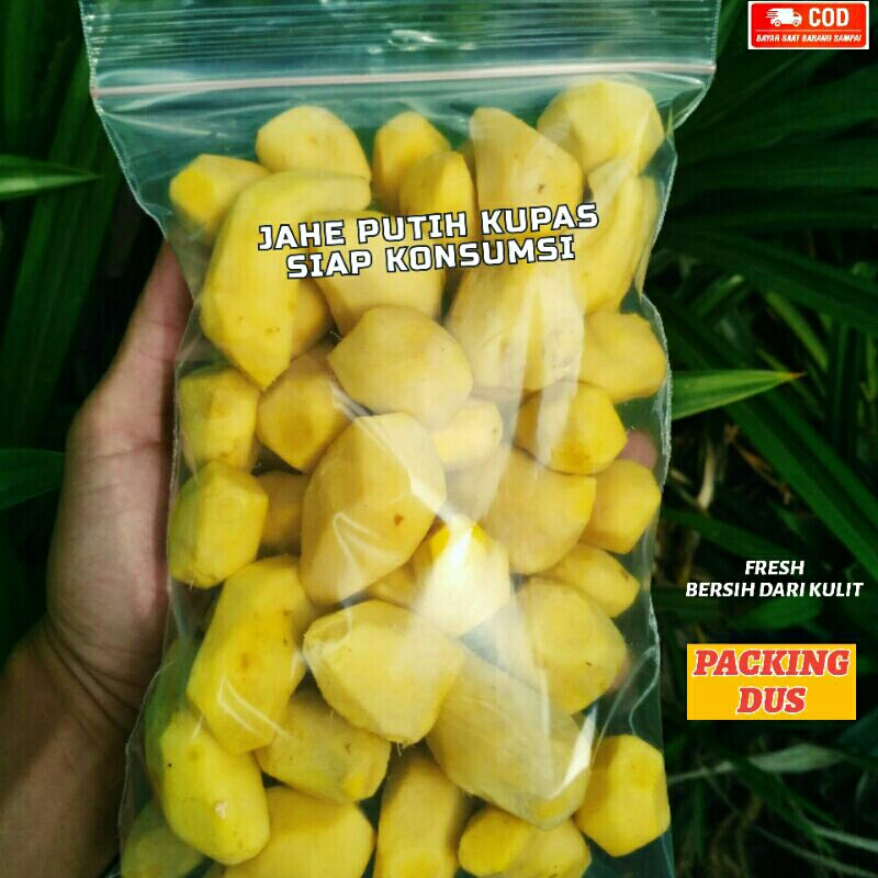 

Jahe Gajah Putih Kupas Bersih 1 kg Siap Olah