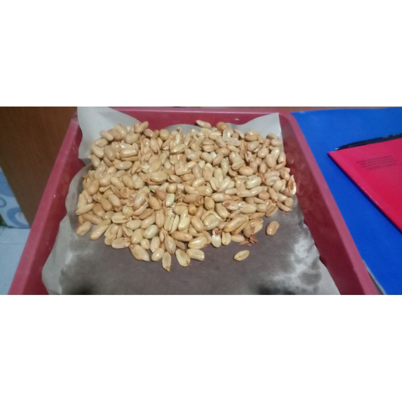 

kacang bawang