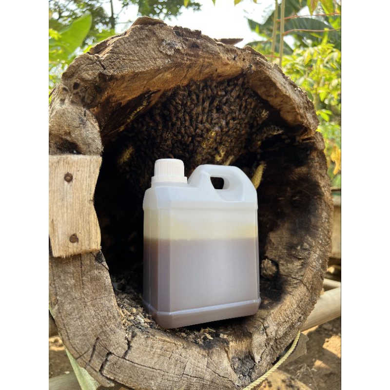 

LEBAH LIAR ( apis cerana ) KEMASAN 1kg MADU MURNI 100% NEKTAR