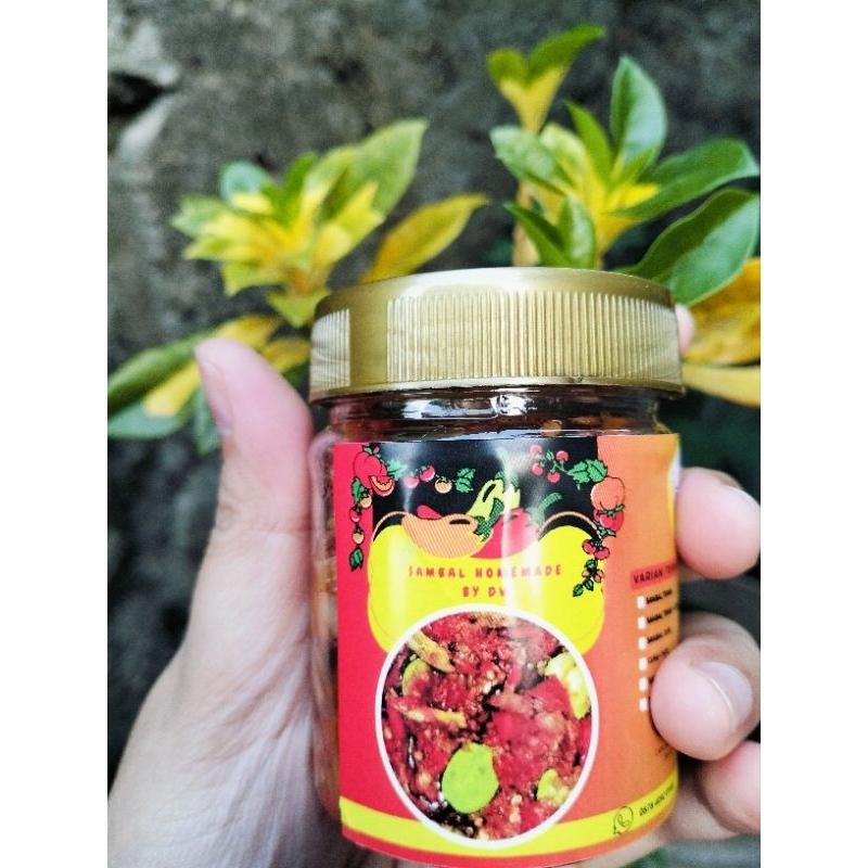 

Sambal DV - 125gr Sambal Terasi/Cumi/Teri Biasa