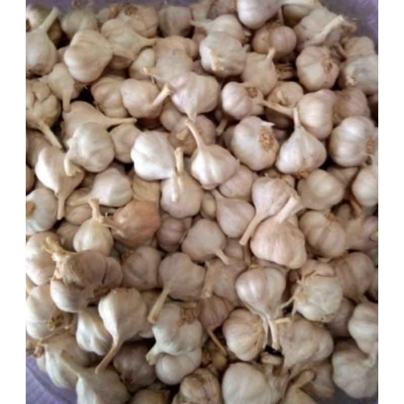 

BAWANG KATING BERSIH 1KG