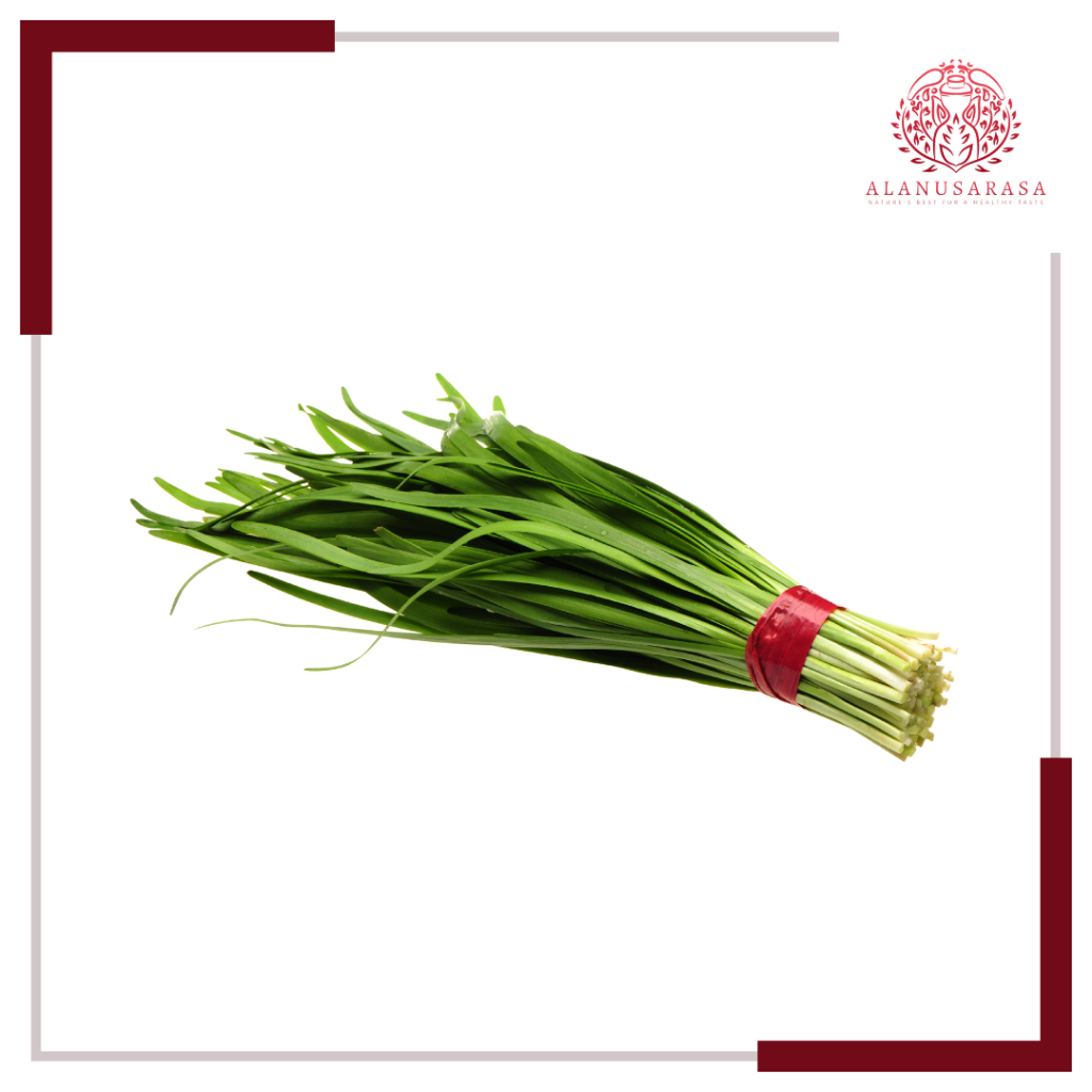 

Daun Bawang Segar - Kualitas Terbaik untuk Masakan Anda | Alanusarasa