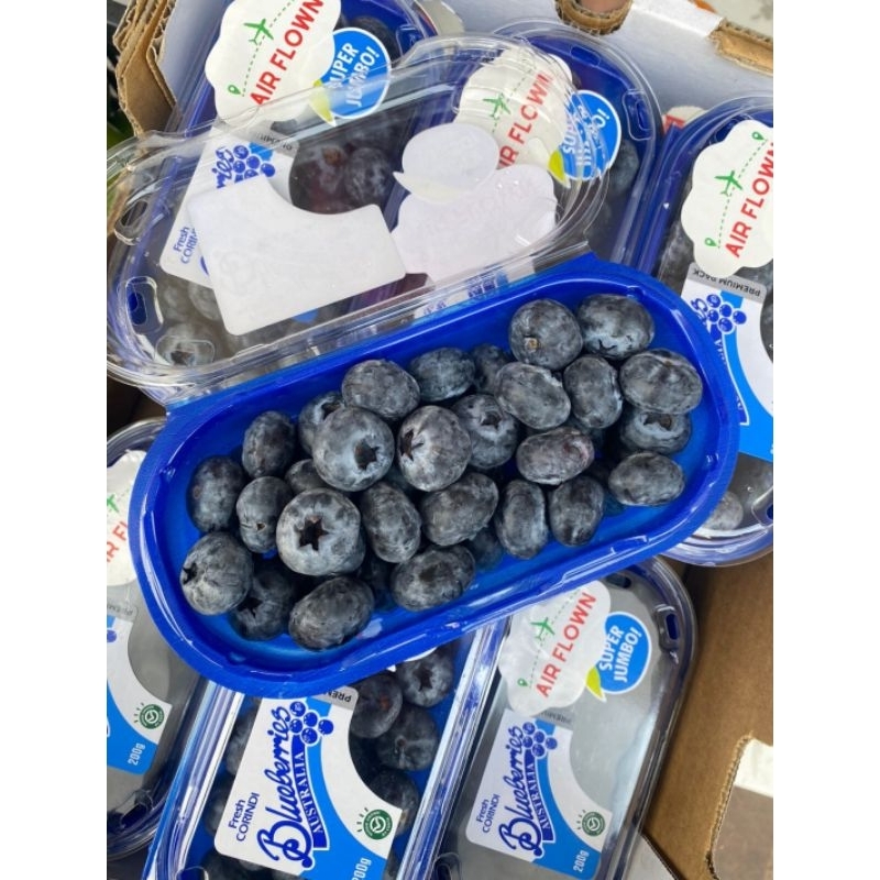 

Blueberry jumbo