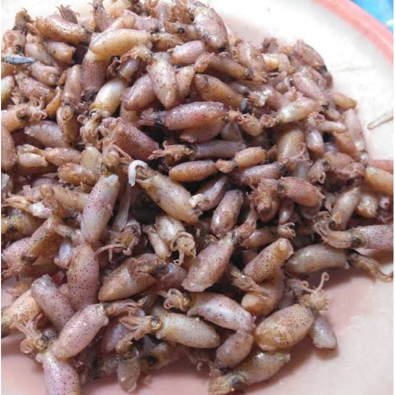 

JKL IKAN ASIN/BABYCUMI serba 250gram/ IKAN ASIN NUSANTARA KUALITAS PREMIUM