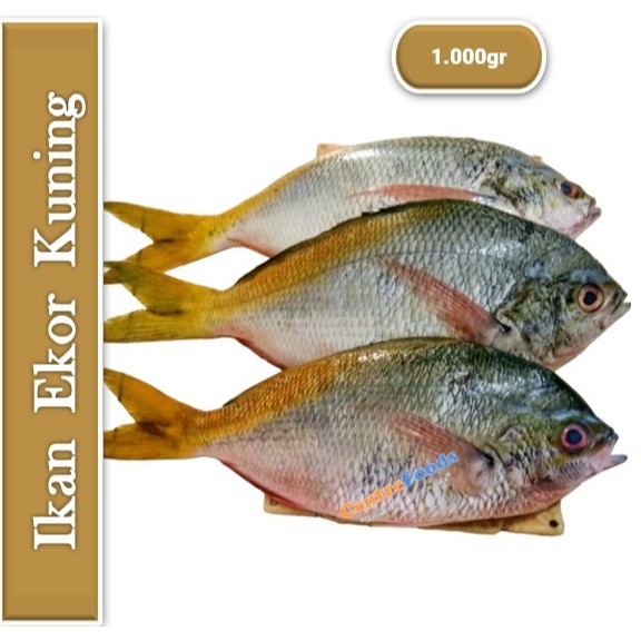 

Ikan Ekor Kuning - Kuniran Fresh | 1.000gr [ Harga Per KG ]