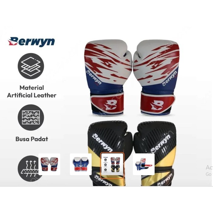 Landstro/Evolve/Berwyn Boxing Gloves [10/12/14oz]