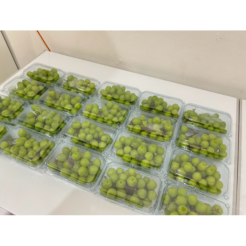 

Anggur Muscat 500gr Manis / Anggur Shine Muscat / Anggur Hijau Manis