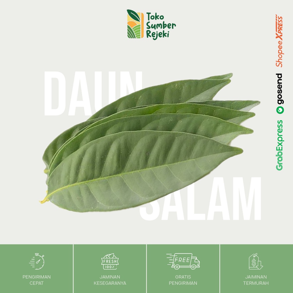 

Daun Salam Segar - Toko Sumber Rejeki Yogyakarta