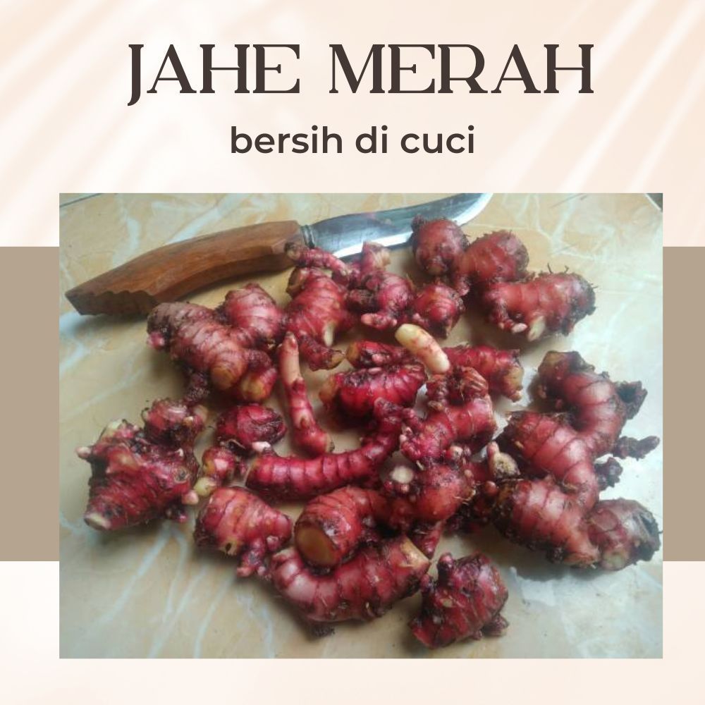 Jahe Merah Cuci Bersih 1kg