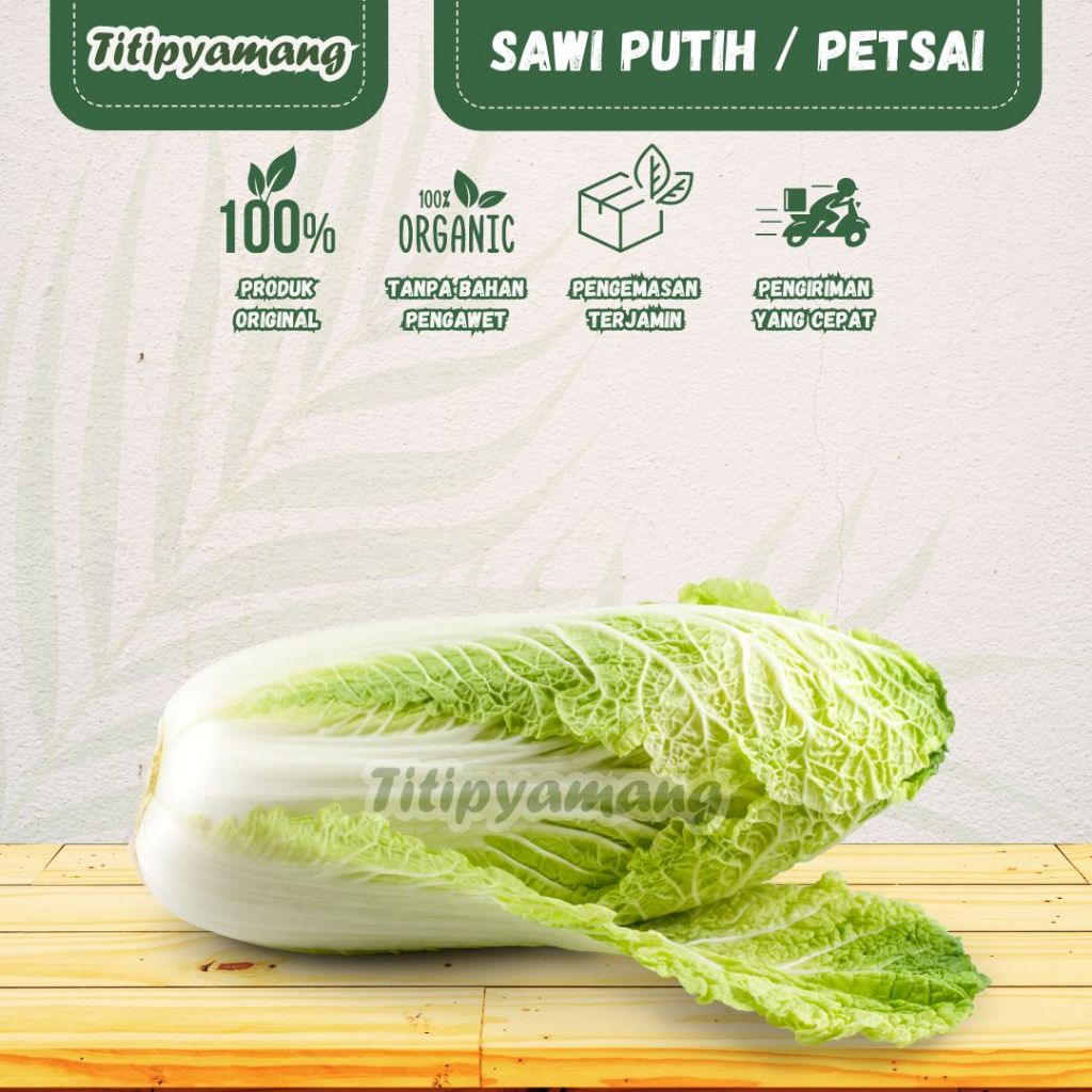 

Sawi putih segar | Petsai