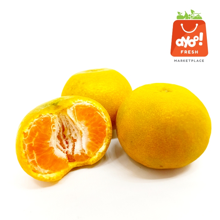 

Jeruk Medan 450 - 500 gr