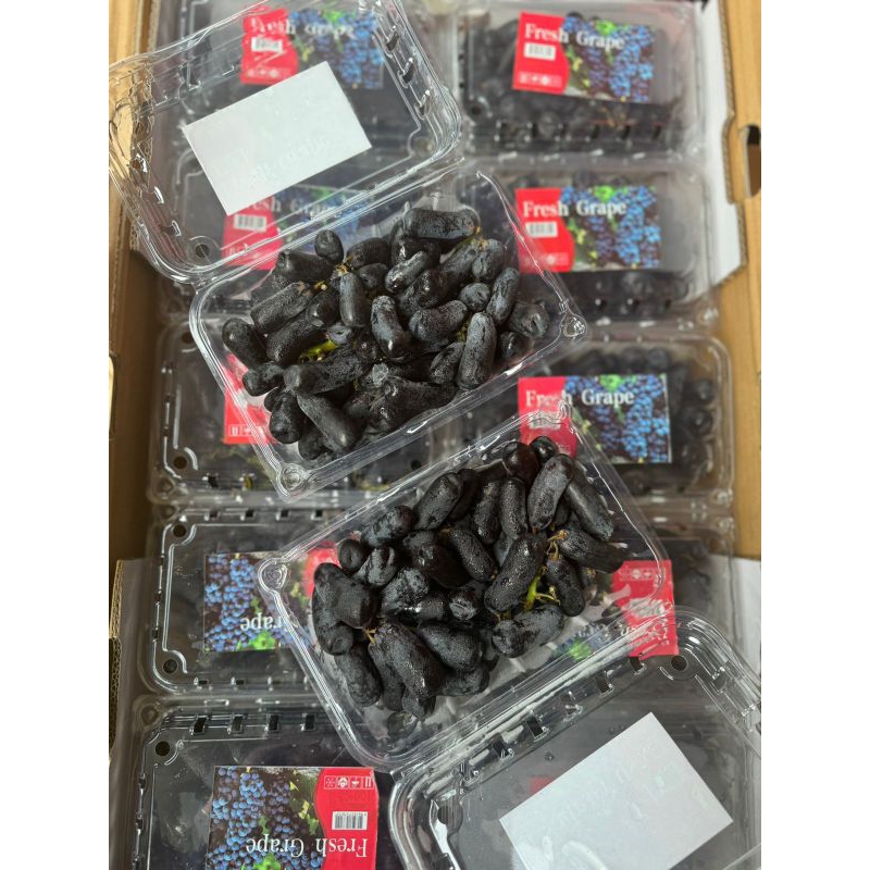 

Anggur Black Sweet Shapire Moondrop