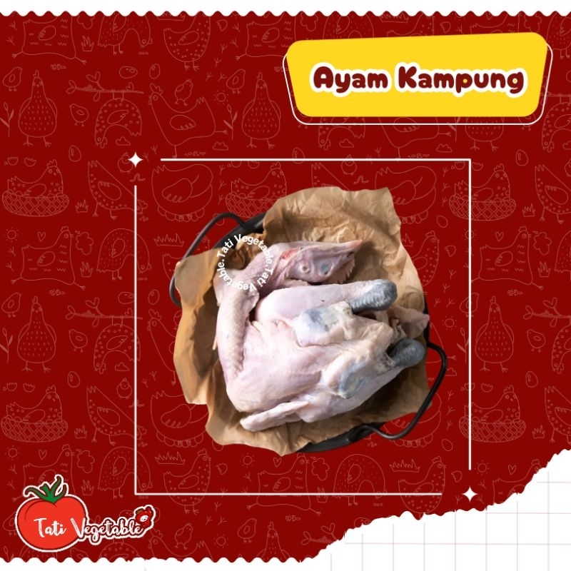 

Ayam Kampung Fresh || Ayam Segar ( Bukan Frozen ) || Halal || Unggas || Tati Vegetable || Groceries || Ayam Potong Murah Jabodetabek
