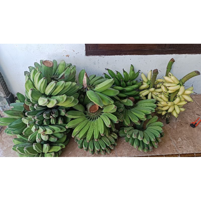 

Pisang Kepok