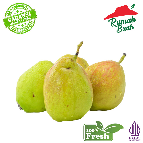 BUAH PIR XIANG LI PEAR XIANG LIE 500 gram [RUMAH BUAH]