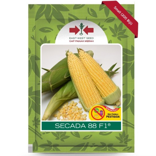 BENIH BIBIT JAGUNG MANIS SECADA 88 F1 ISI 200 BIJI - CAP PANAH MERAH