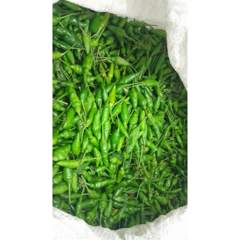 

Rawit Gunung | Cengek ORI 250gr