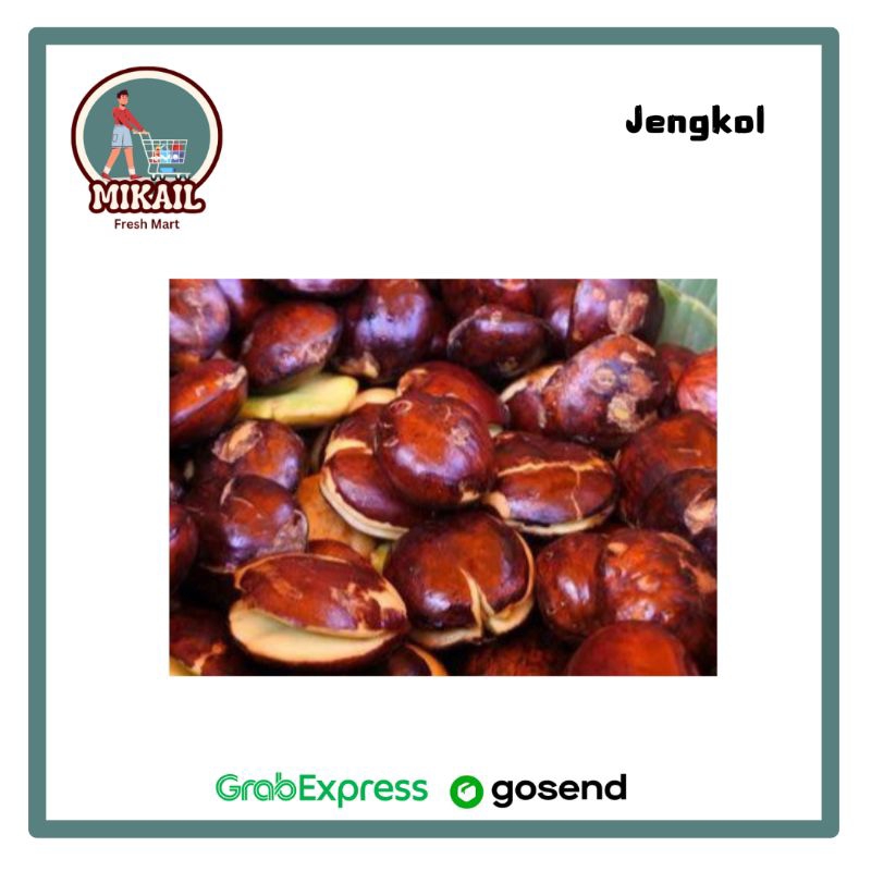 

JENGKOL 250gr