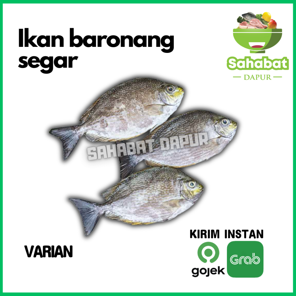 

Ikan Baronang Segar - Sahabatdapur