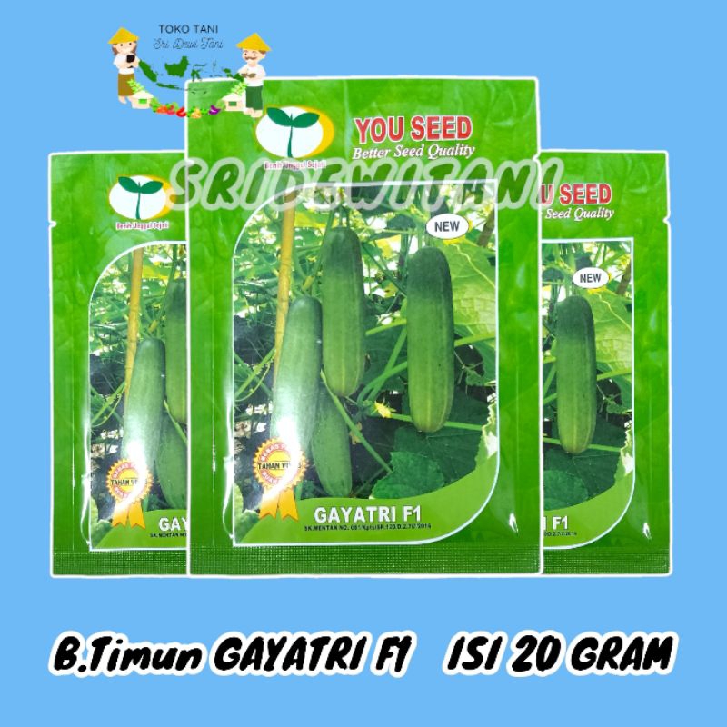 GAYATRI 20 GRAM BIBIT TIMUN TAHAN VIRUS HIBRIDA F1 YOU SEED Setara Bandana Panah Merah