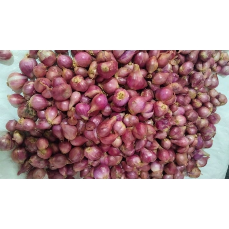 

BawangMerah Kering Asli Brebes