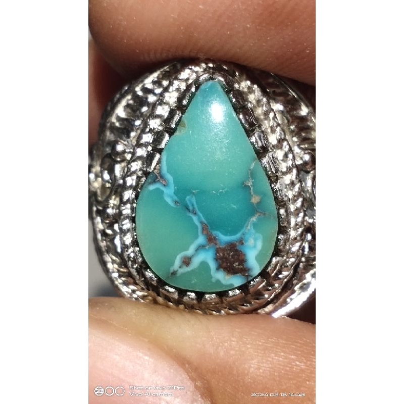 pirus hijau gradasi persia