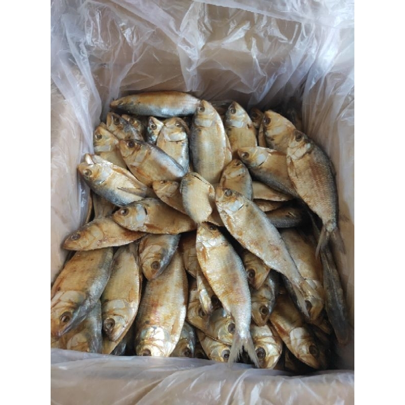 

IKAN ASIN BELO KEMASAN 1KG