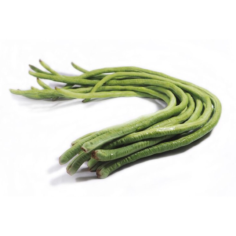 

kacang panjang fresh per ikat