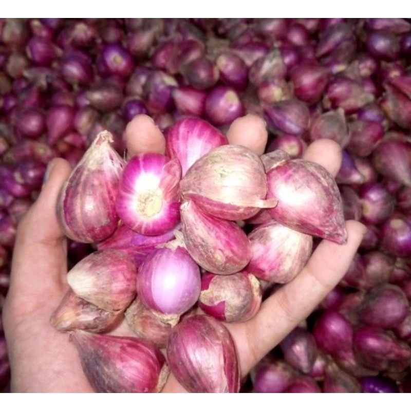 

bawang merah brebes 1kg