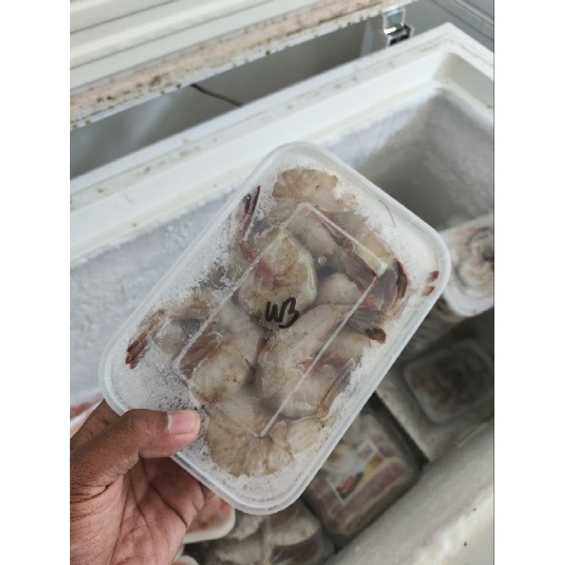 

Udang white Laut headless size 40 - 60