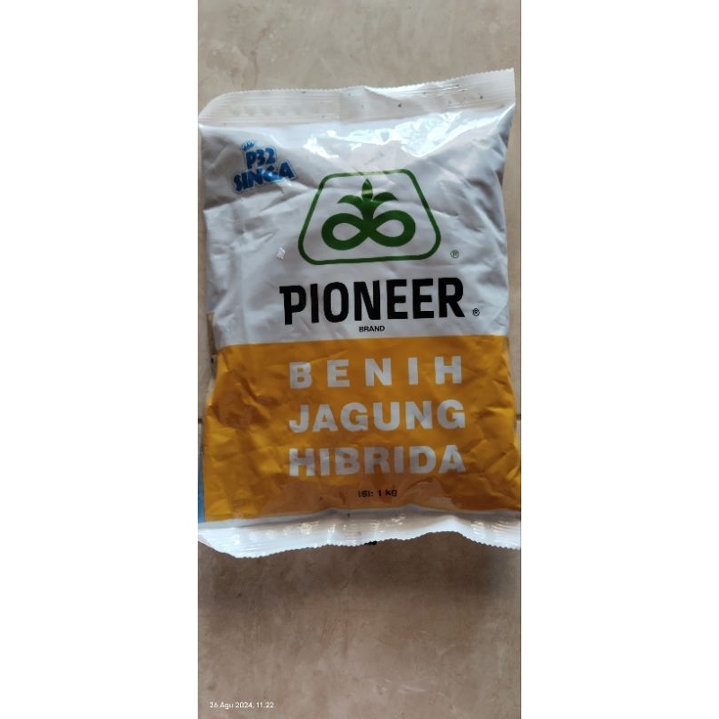 PIONEER 32 SINGA BENIH JAGUNG HIBRIDA