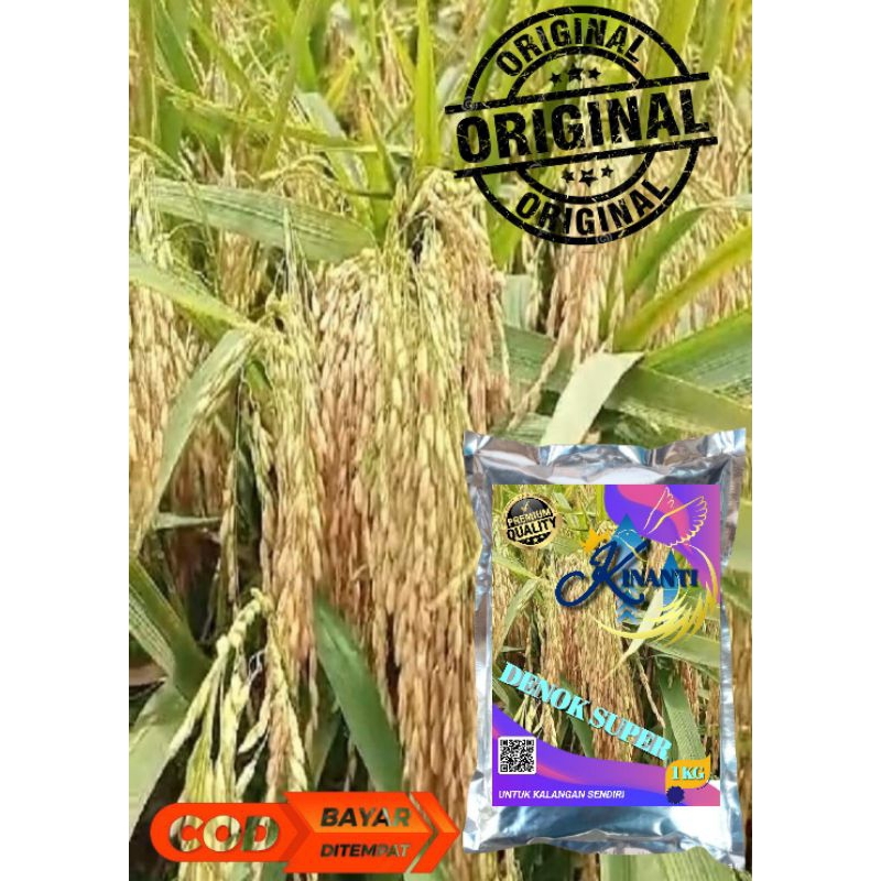 BENIH PADI DENOK SUPER 66 premium 1kg