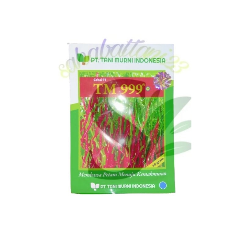 Benih cabe TM 999 / benih bibit cabe keriting hibrida f1 unggul