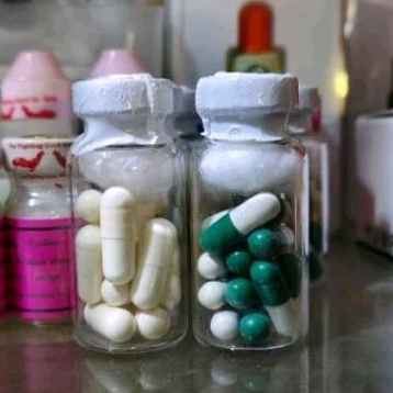 kapsul RH (KAPSUL DOPING RH) RACING HORSE