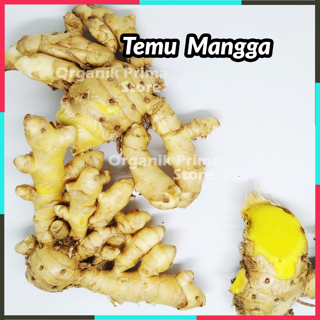 

Temu Mangga Segar Asli dan Organik