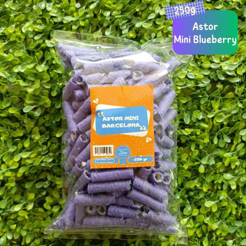 

astor. mini 250g
