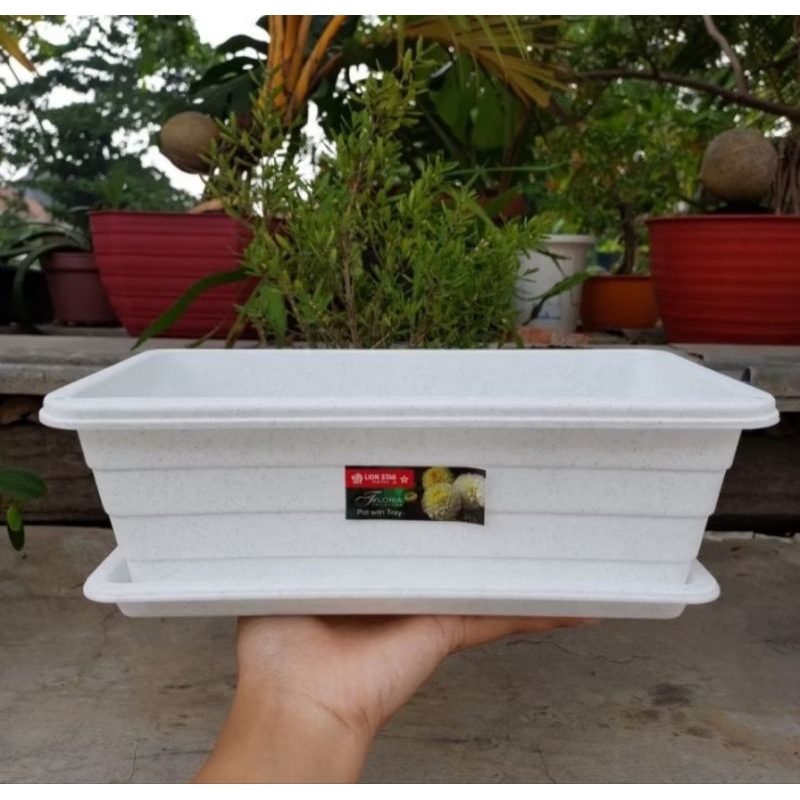Pot bunga kotak segi panjang & tatakan putih, Pot Lion Star Trivetto S, Pot murah