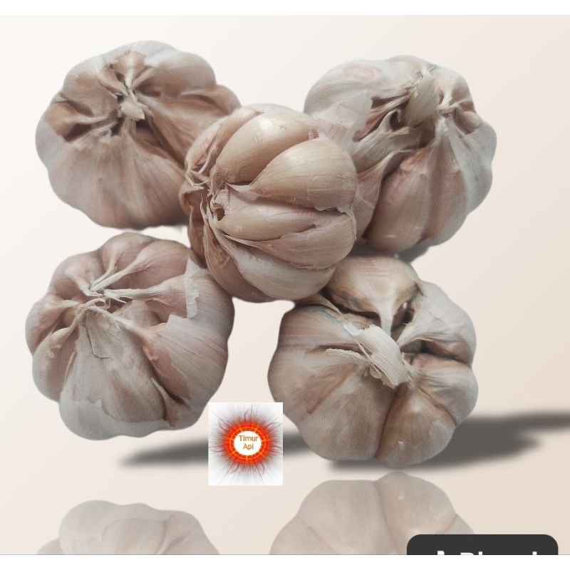 

Bawang putih Fresh 1kg