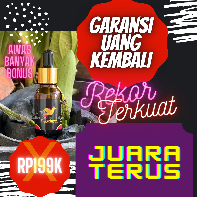 [REKOR TERCEPAT],Doping Merpati Kolong,Doping Merpati Balap,Doping Merpati Balap Sprint,Doping Merpa