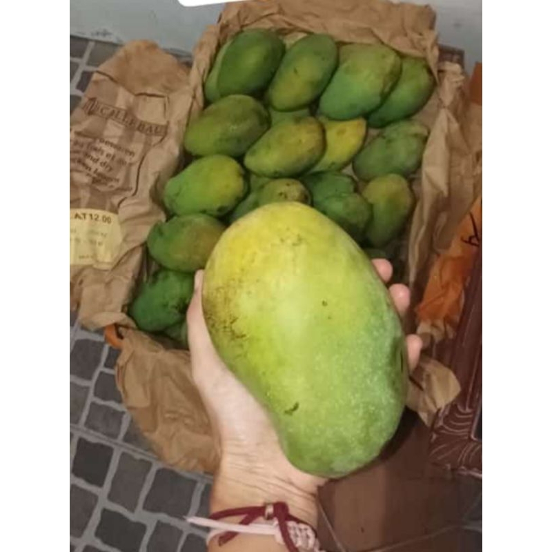 

harum manis super (harga per kilo) berat per buah sekitar 400gr